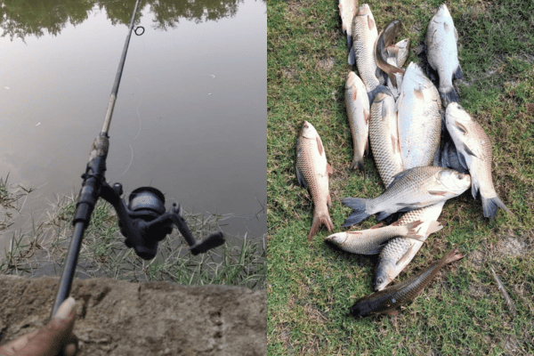 fishing_2