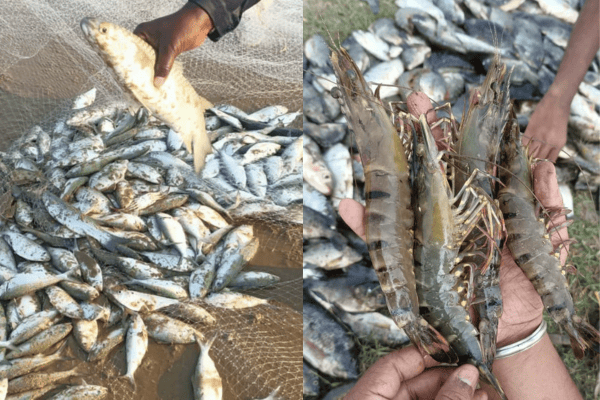 fishing_4
