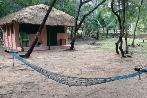 secret hut 2